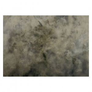 https://www.hardin-kirsch.de:443/files/gimgs/th-26_Foto-hardin-kirsch.jpg
